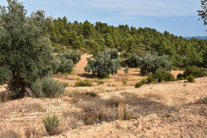 Foto 4fa46652-47e2-480f-be60-0ea014e89108. Finca rústica  en la fresneda en Fresneda (La)