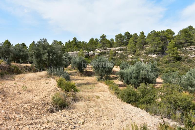 Foto 8414758c-83ed-4d0f-8bcb-0ed00bfd21f4. Finca rústica  en la fresneda en Fresneda (La)