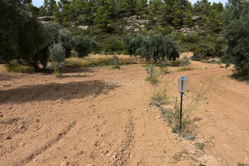 Foto 94431113-c0b9-45d1-8d13-2d12e4da1cb9. Finca rústica  en la fresneda en Fresneda (La)