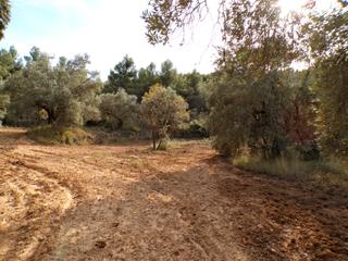 Fondo rustico in Fresneda (La). Finca rústica en la fresneda