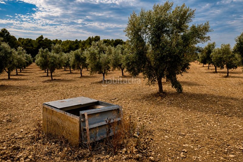 Foto bee57e9b-2158-4812-89d7-bb1de85d8e0d. Finca rústica a Lledó