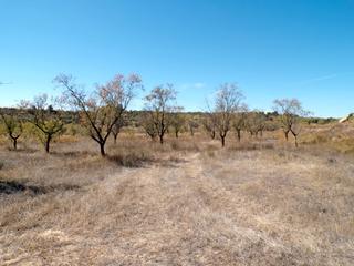 Landgut in Calaceite. Finca rústica en calaceite