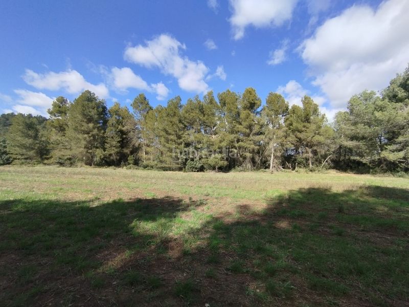 Foto ed967c6b-2418-4526-a735-63e71c2f0d70. Finca rústica a Lledó