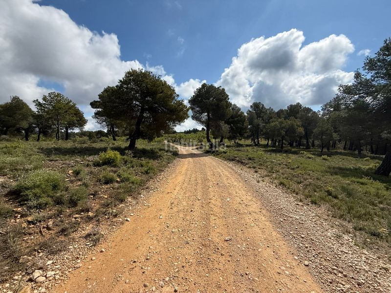 Foto f6268b7b-f760-42c5-9655-c2cdea9e94be. Finca rústica a Ráfales