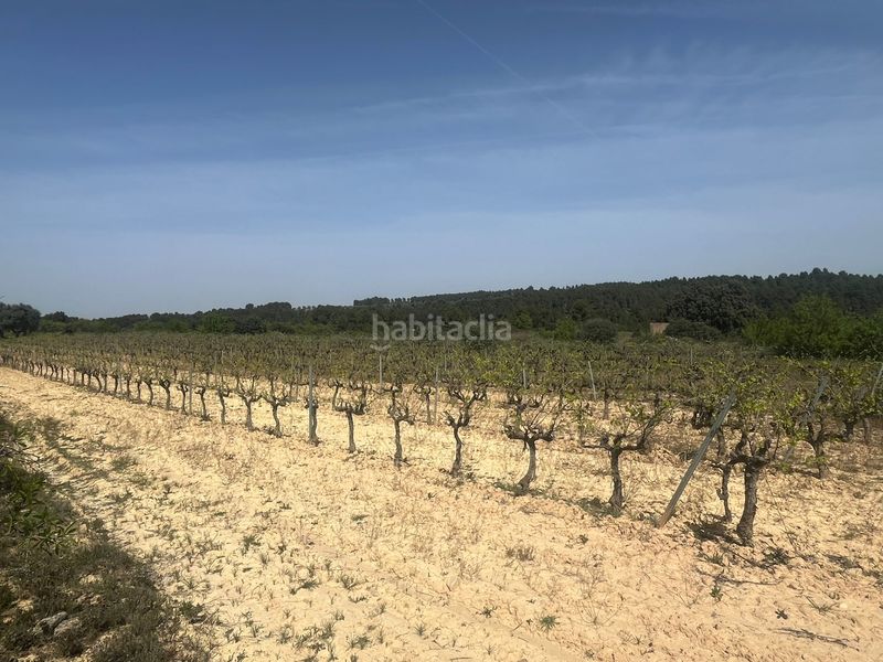 Foto 41d000d9-27be-441a-af99-e71292384630. Finca rústica a Calaceite