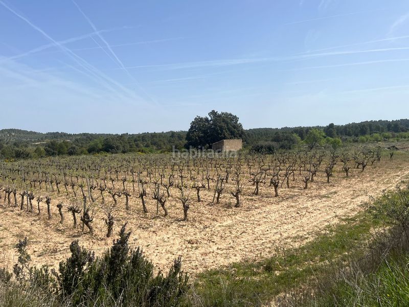 Foto ad9d91c8-717c-4ab2-a7ca-959ef394f2f6. Finca rústica a Calaceite