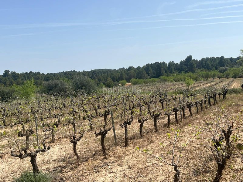 Foto f1ae0547-2929-4ca1-bd5b-be73dd7acd91. Finca rústica a Calaceite