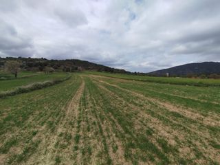 Finca rústica a Peñarroya de Tastavins