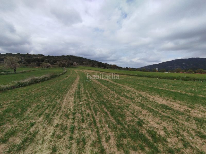 Foto 36ab693e-8148-42a2-be98-577229ca3f01. Finca rústica a Peñarroya de Tastavins