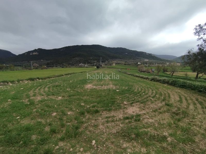 Foto 45bafbb4-e1e3-4068-a5a6-6e87ab1f90ba. Finca rústica a Peñarroya de Tastavins