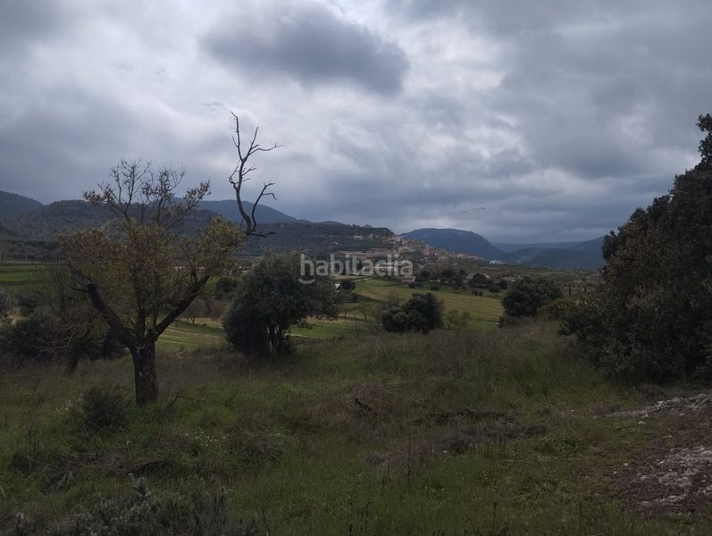 Foto c18c122a-5f3d-431d-88d9-015085147649. Finca rústica a Peñarroya de Tastavins