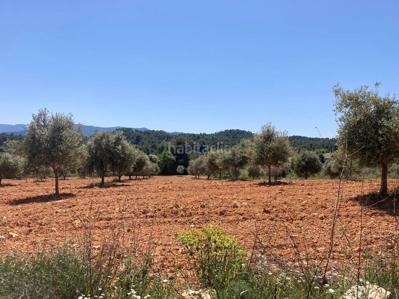 Foto 038ad6e0-e341-4554-af85-6af60472e83a. Finca rústica a Cretas