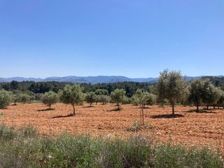 Landgut in Cretas. Finca rústica en cretas