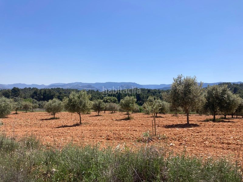 Foto 240b35c0-c388-4d29-8968-21c5403962e0. Finca rústica a Cretas