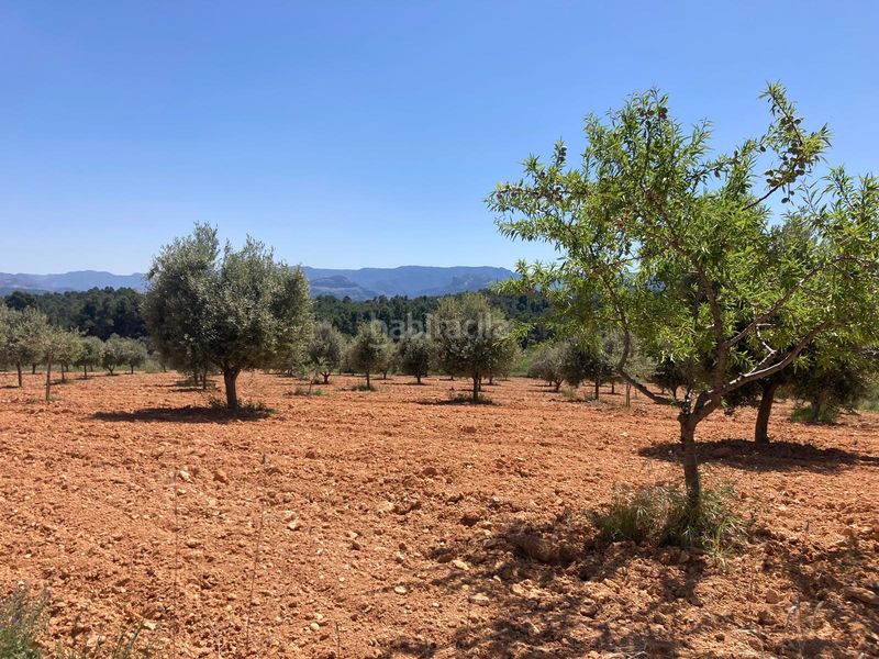 Foto 4fe8f8d3-a57b-43ac-a2d9-beb4c54e6bc1. Finca rústica a Cretas