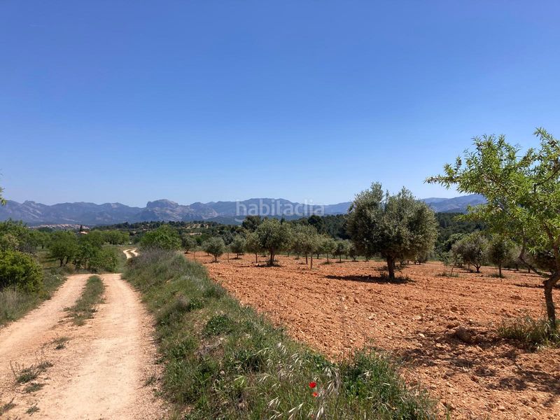 Foto 562cd122-6a0b-4cd0-8be1-1fb53e645419. Finca rústica a Cretas
