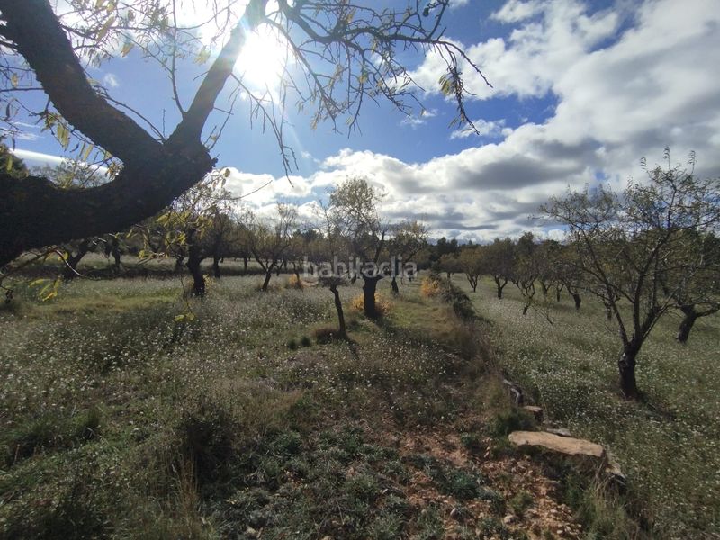 Foto 338a98ab-d1b7-4ea2-9bbd-ab877b7bc4d0. Finca rústica a Ráfales