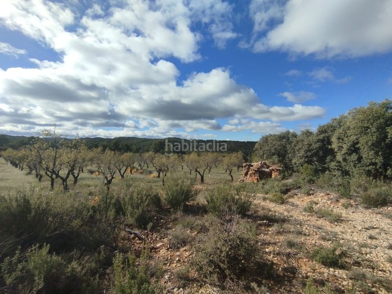 Foto 3f8058d8-bd4b-4e60-8c0d-fc526376cf73. Finca rústica a Ráfales
