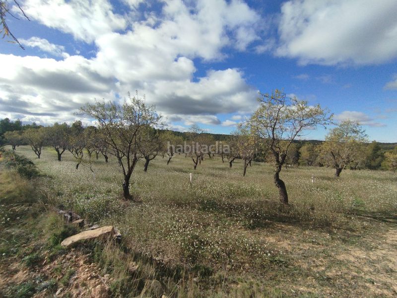 Foto c88e5590-237f-405a-8a93-cba9a450cbd5. Finca rústica a Ráfales