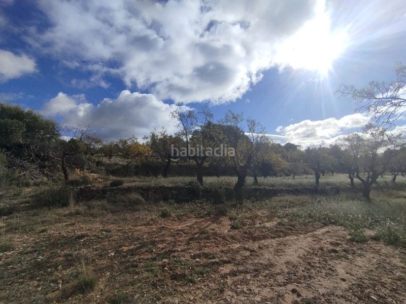 Foto e0993fee-be4e-42d4-a5b2-13455db9fddc. Finca rústica a Ráfales