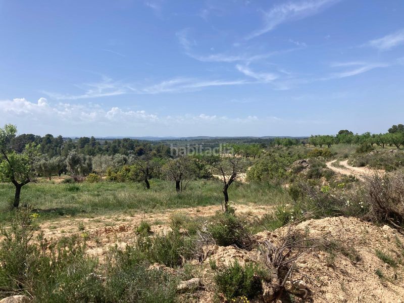 Foto 8de15b2b-d694-4cd6-9af4-1e5dbbbe00d7. Finca rústica a Calaceite