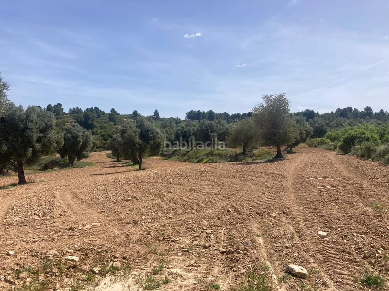 Foto ed9a3676-b128-4670-9041-2f4d2a9596b2. Finca rústica a Calaceite
