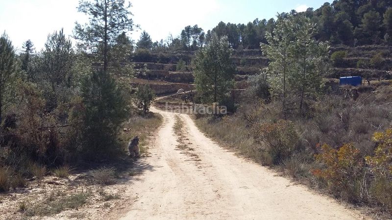 Foto 662f4010-5a4b-4678-876c-ea821ecbaf37. Finca rústica a Arens de Lledó