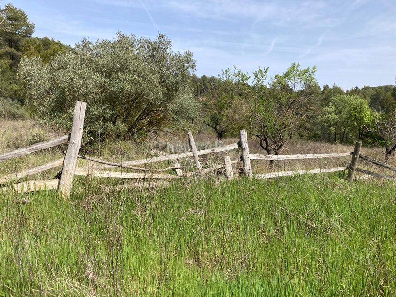 Foto 74193d21-1a76-4776-b649-3ea615d01333. Finca rústica a Arens de Lledó