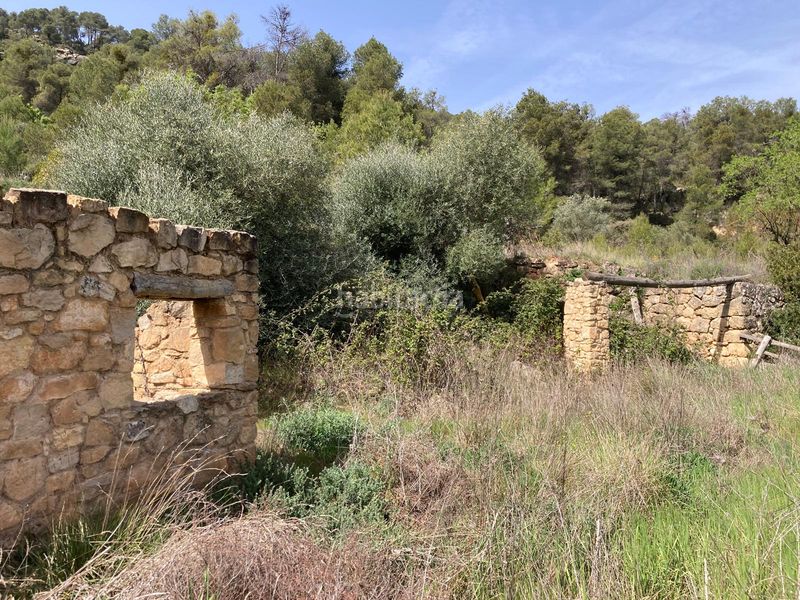 Foto 8cdaed0c-e721-4f42-8422-e3355afa4f4f. Finca rústica a Arens de Lledó