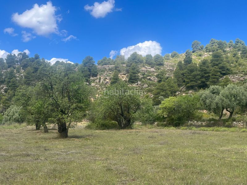 Foto b770ab2b-3464-4749-beaf-52a3218305e5. Finca rústica a Valderrobres