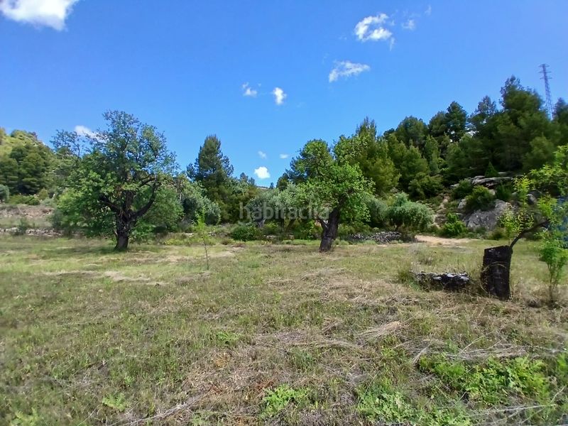 Foto dd49f34f-1a69-4cb1-9682-3faaf4aa51c2. Finca rústica a Valderrobres