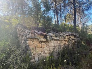 Landgut in Arens de Lledó. Finca rústica con maset en arens de lledó