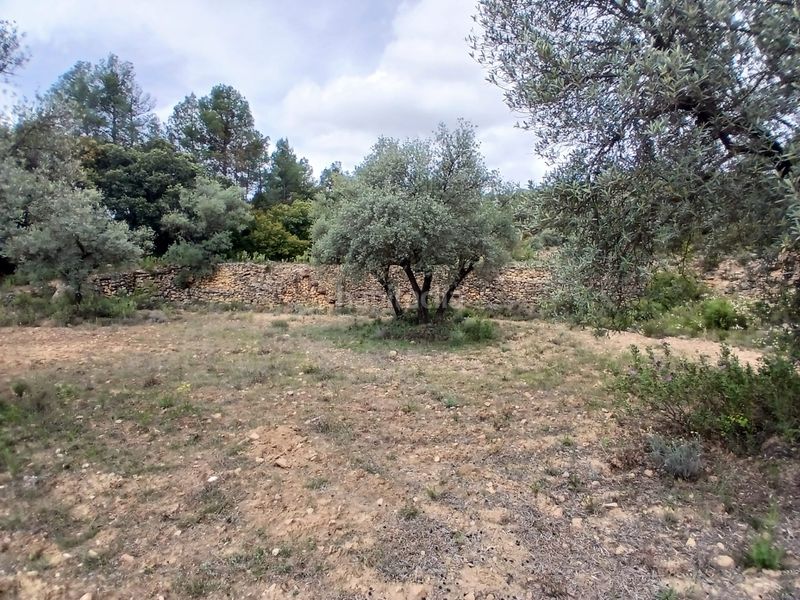 Foto 451a1f70-51fa-47df-82e1-6053e22bb812. Finca rústica a Fórnoles
