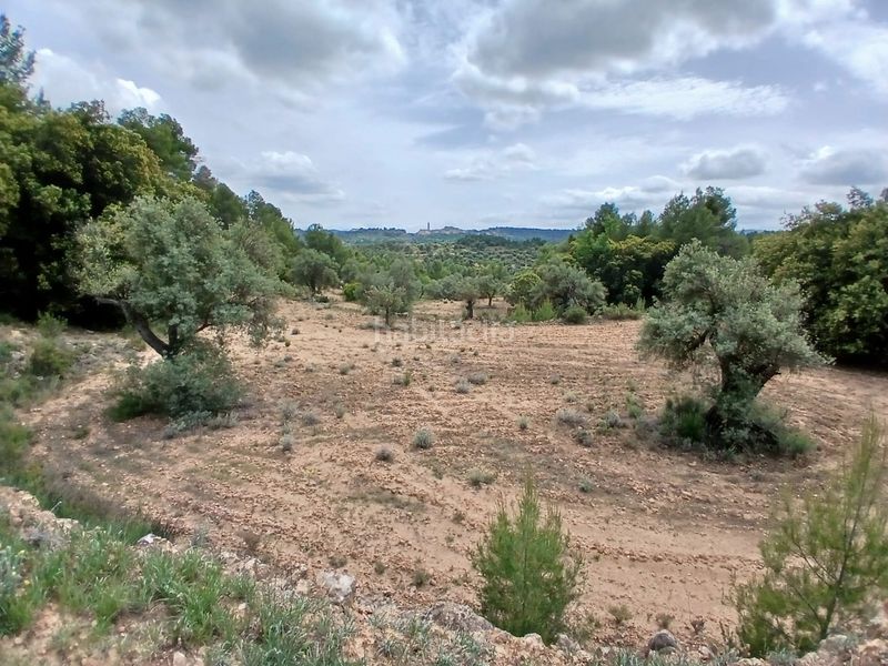Foto badedec4-3ced-43b7-8277-5aae30a26a95. Finca rústica a Fórnoles