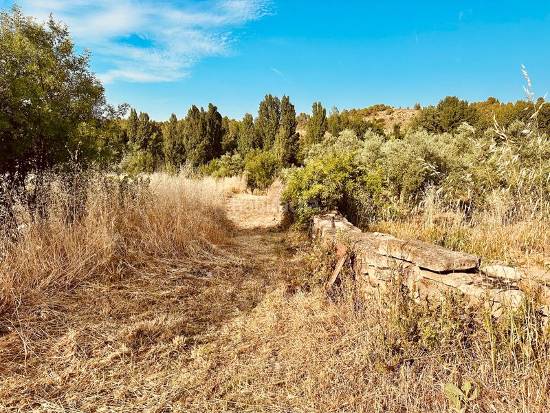Foto dbbba2e8-87e7-41fb-b581-ead50a68d560. Finca rústica a Fresneda (La)