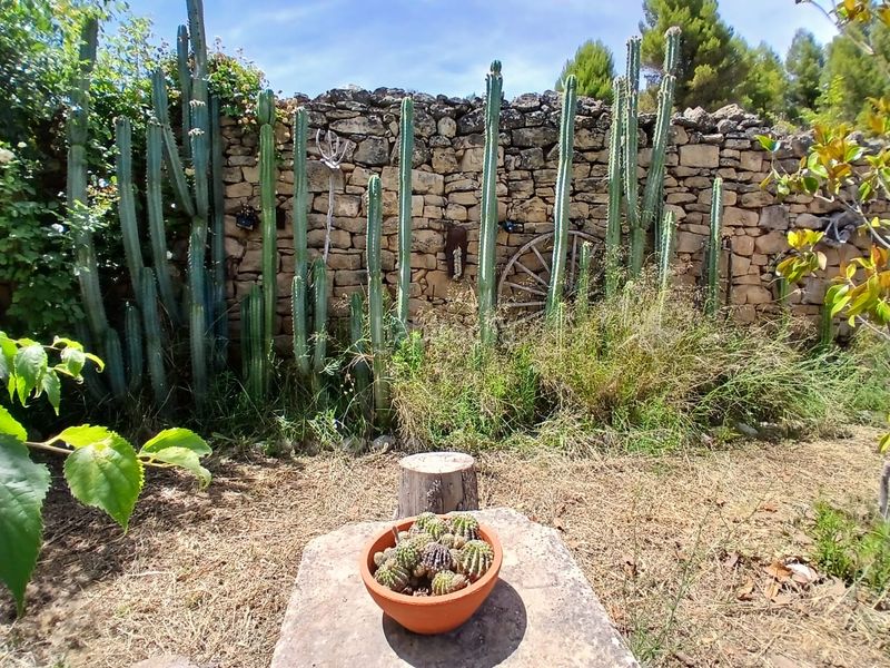 Foto c68c5707-deb5-4b7d-8ae0-90c142cecdd2. Finca rústica a Fresneda (La)