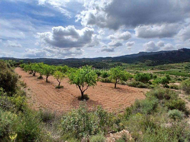 Foto 27aa4f11-ec41-4077-898f-598d8bd4b9a8. Finca rústica a Corbera d´Ebre