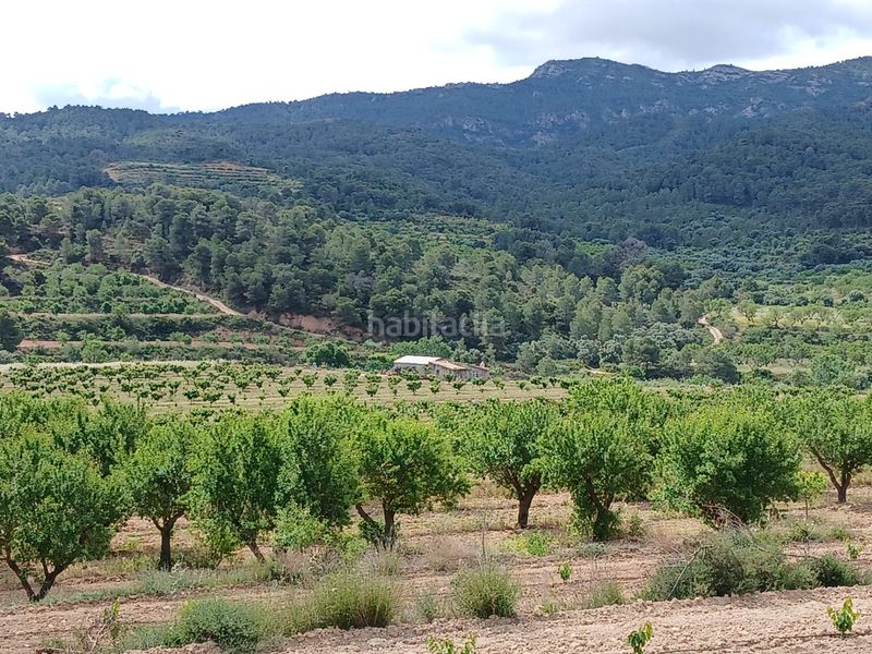 Foto a29e184c-c91e-4029-ad90-321905684b86. Finca rústica a Corbera d´Ebre