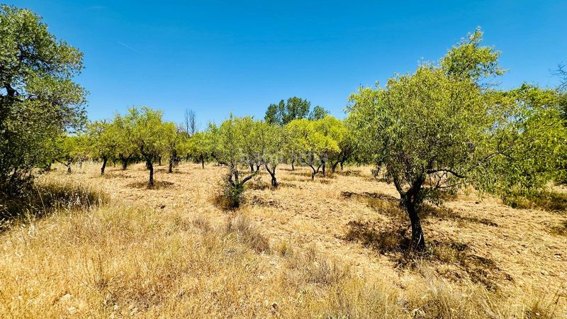 Foto 512c7764-2319-4123-ad10-4087b74ffbc0. Finca rústica a Cretas