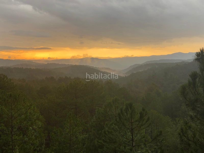 Foto d6bbe617-0b3f-4f5e-a2a2-2599eaedb0b8. Finca rústica a Monroyo