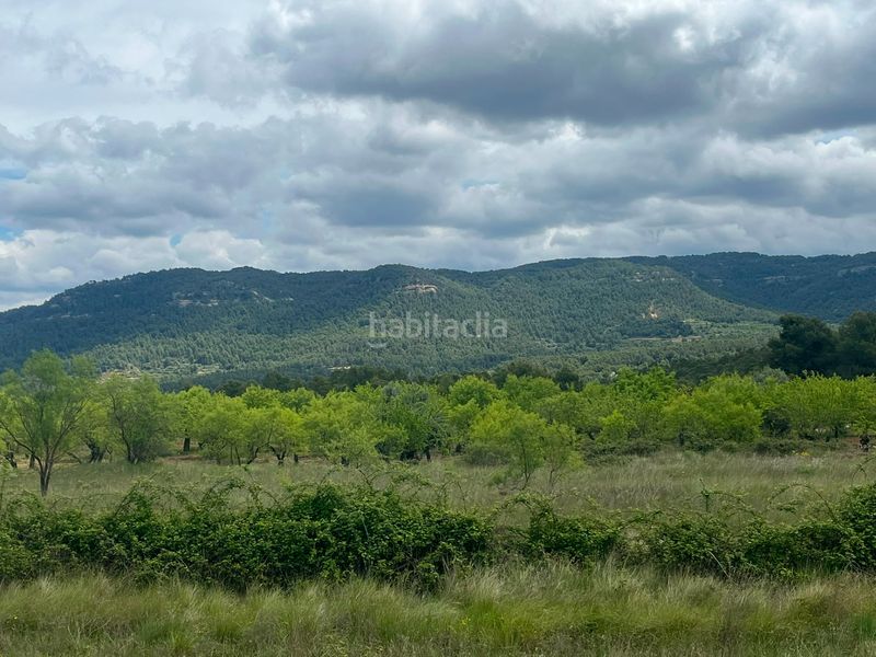 Foto 890dc6f0-2a2d-4558-8599-89a628390445. Finca rústica a Ráfales