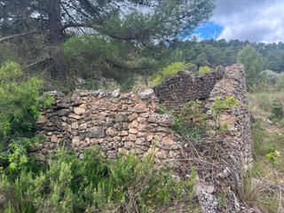 Fondo rustico in Ráfales. Finca rústica con maset en ráfales