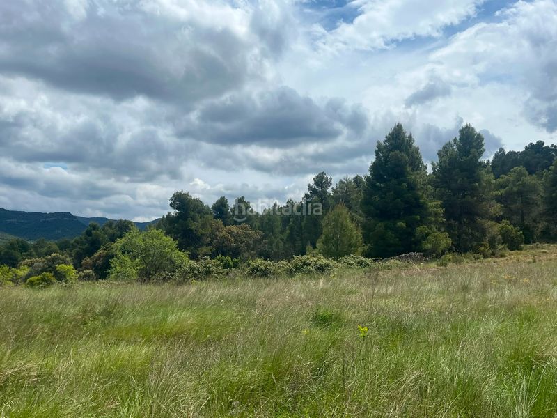 Foto e8f3eee7-7130-4e65-aa85-d78e8540d41a. Finca rústica a Ráfales