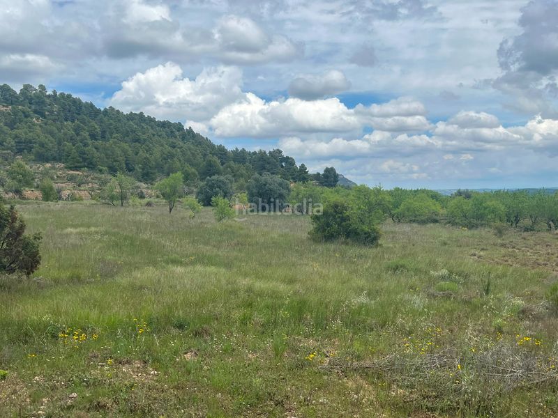 Foto ff97e5ff-b849-4322-8fe3-24a01b2bd603. Finca rústica a Ráfales