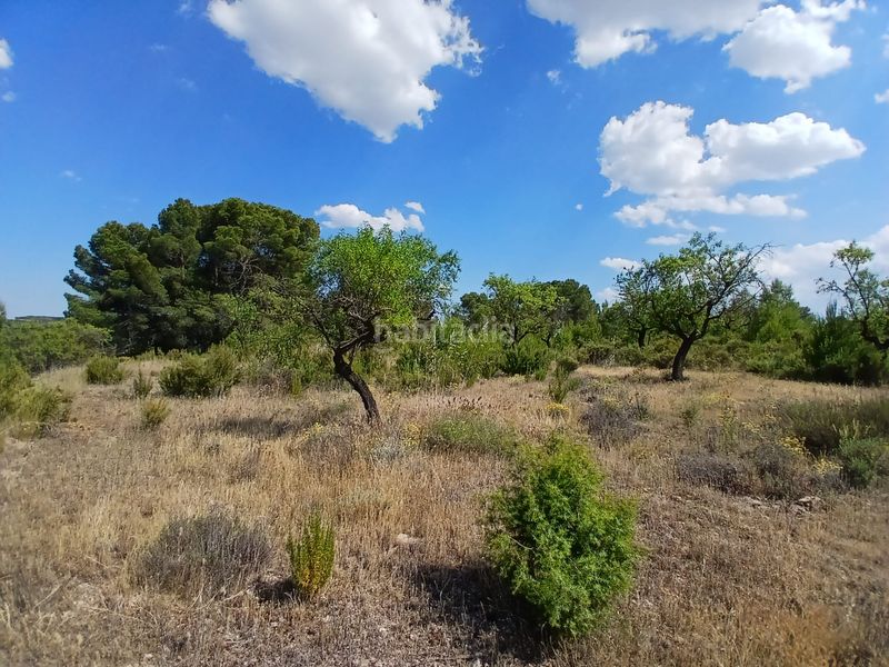 Foto d7d8a998-eb4e-4859-8dc2-378df340ab56. Finca rústica a Mazaleón