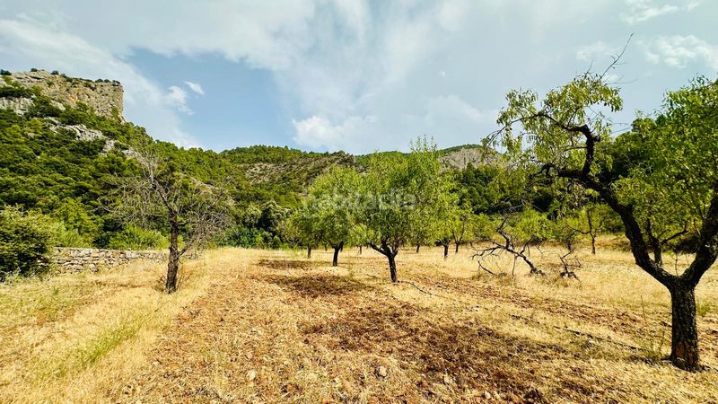 Foto 66faa5d2-19bf-4fec-8d92-3470b15fe1d2. Finca rústica a Horta de Sant Joan