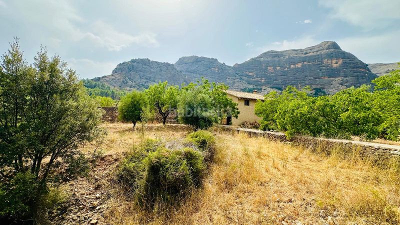 Foto 979a1ea2-e905-4b32-8866-89d8aec19d6f. Finca rústica a Horta de Sant Joan