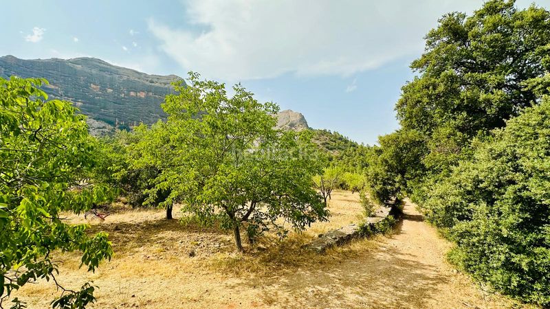 Foto ac72d2d0-cfb4-40ea-9b2e-ad1fff6f05b7. Finca rústica a Horta de Sant Joan