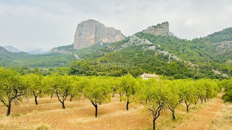 Foto cf53d39d-ea87-479b-9fb5-37da96be1f65. Finca rústica a Horta de Sant Joan