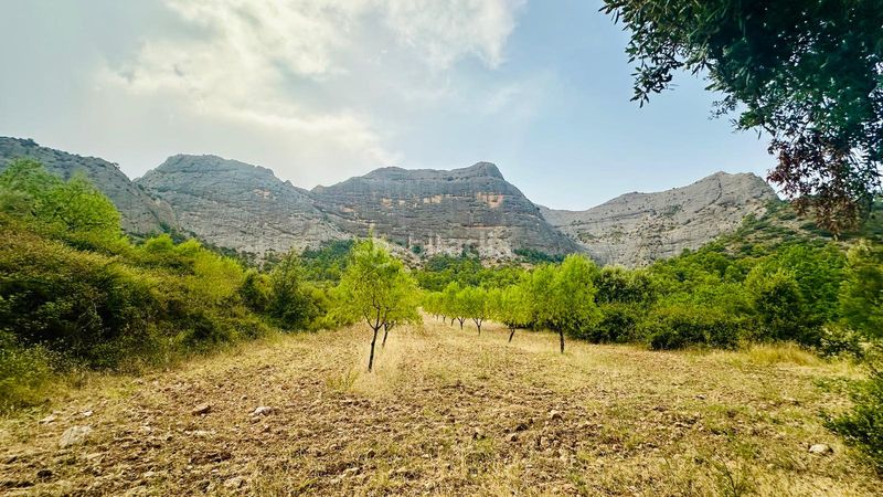 Foto ff265673-f46d-4cc6-97d5-777377a97dc2. Finca rústica a Horta de Sant Joan